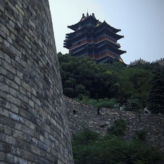 CF0306032.jpg