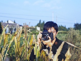 CF0308432
