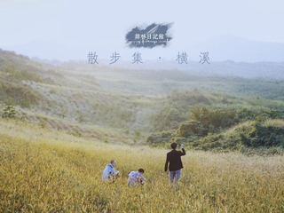 CF0308772