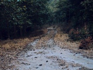 CF0308842