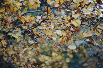 WO7H64870