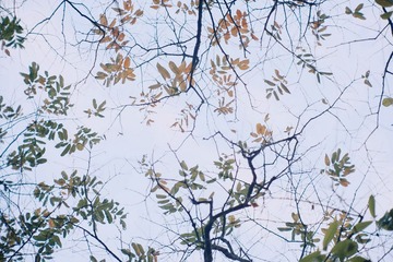 WO7H64910