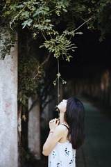 WO7H46532