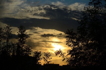 林中夕阳