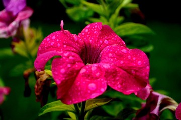 DSC_2562.JPG