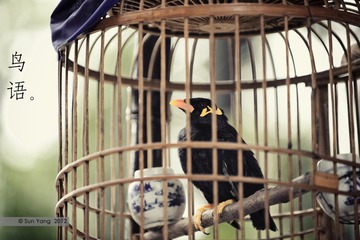 DSC_6409.jpg