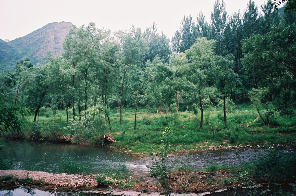ektar 100+eos 50e <br />
