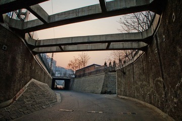 IMG_2651.jpg