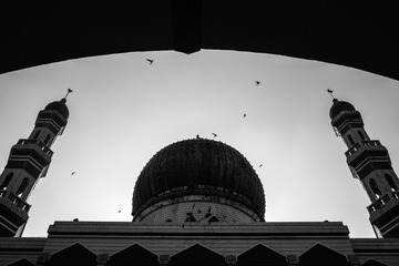 _SDI0990