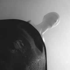 _P1Q9543