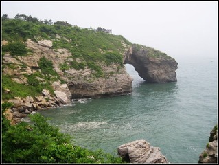 全景恐龙喝水