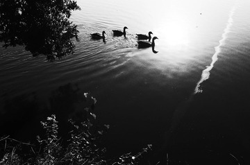 R0011123
