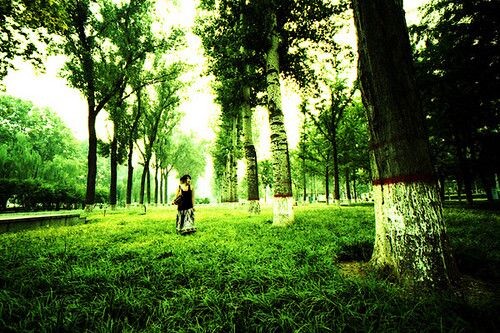 Green<br />
Leica m6  v15/4.5  &lt;br /&gt;<br />
Kodak 100 EB in C-41