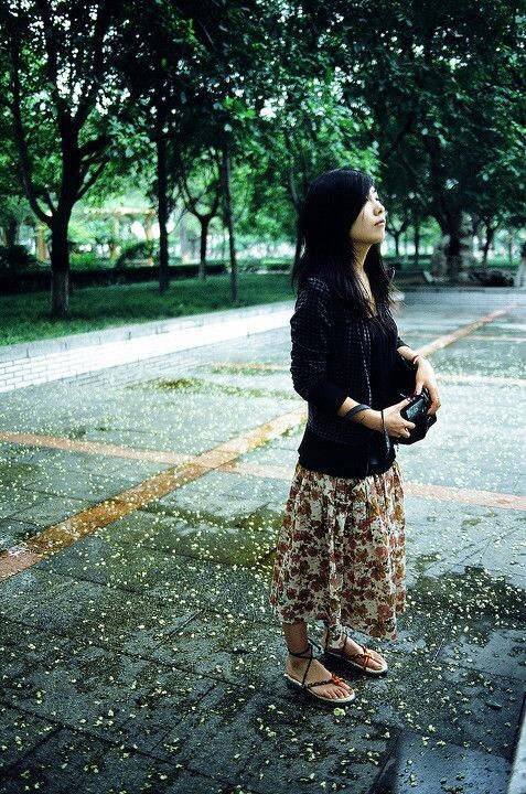 雨后槐花落一地<br />
CIMKO  PANTAX 43mmf1.9