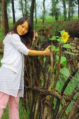 葵花少女