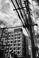 _DSC0441.JPG