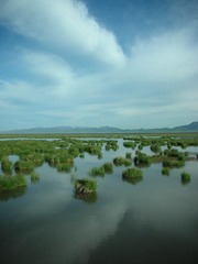 2011-06