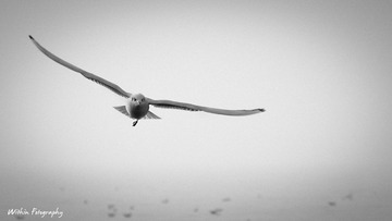 20110220 - 青岛 - 6