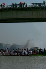 观战-1
