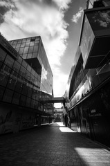 DSC_0069.jpg