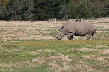 IMG_9164.JPG