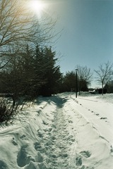 01-007