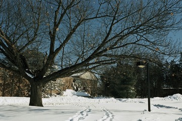 01-013