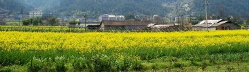 建德春色