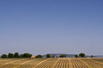 _IGP1597
