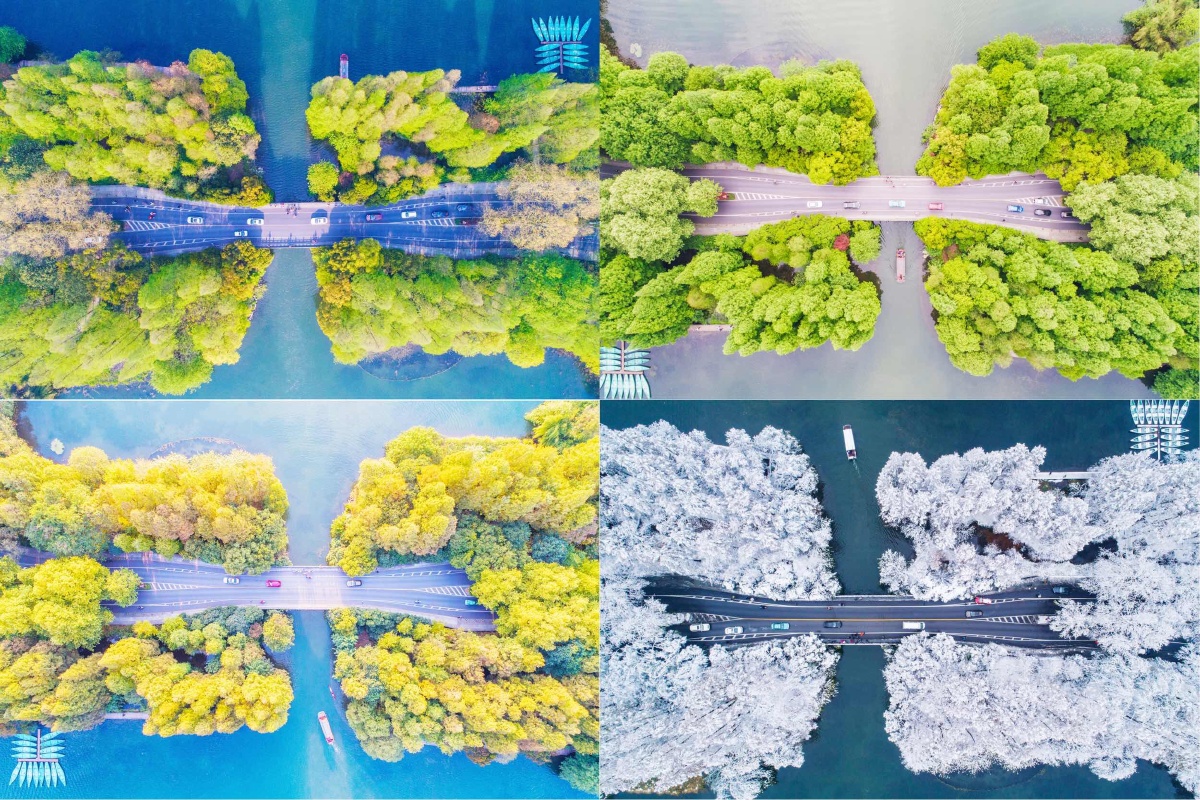 杭州西湖四季,喜欢你的春夏秋冬