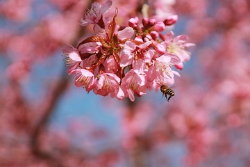 IMG_7185xx