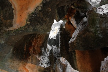 IMG_7602xx