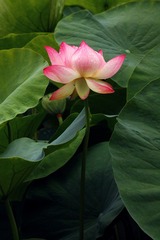 IMG_7718xx