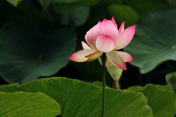 IMG_7745xx