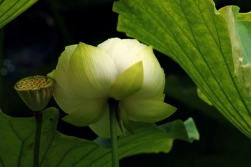 IMG_7759xx