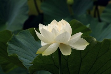 IMG_7765xx
