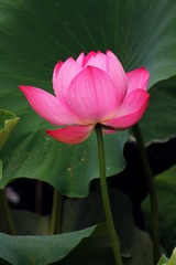 IMG_7780xx