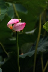 IMG_7786xx