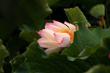IMG_7812xx