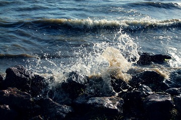 IMG_8513xx
