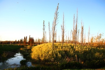 IMG_8570xx