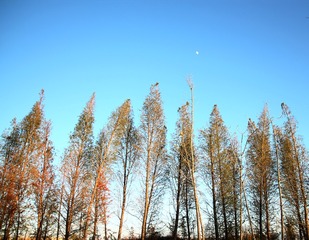 IMG_8571xx