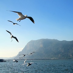 IMG_9020xx