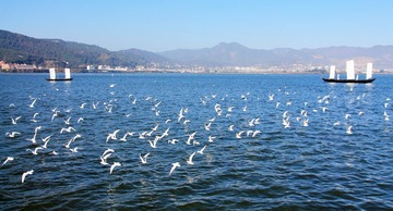 IMG_9046xx