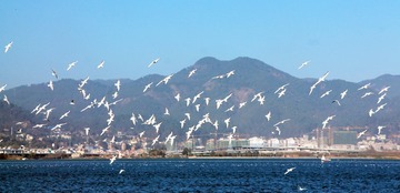 IMG_9048xx