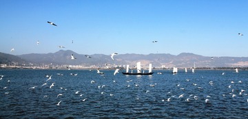 IMG_9080xx