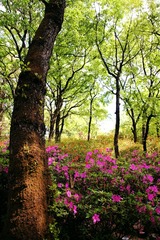 IMG_0473xx