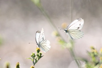 IMG_2363xx