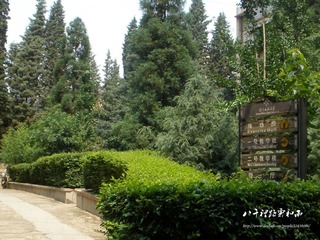 P7090382