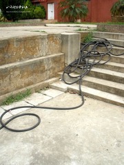 P7090407